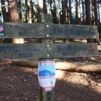 ここ大杉の広場はちょうど1000m。