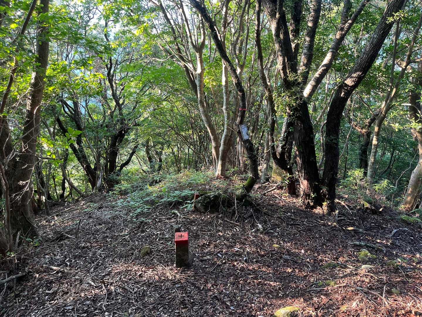 頂上からここまでは尾根下り。ここを右に曲がって下りていきます。まっすぐも行けるが、かなりの急斜面の難所です。参照（https://yamap.com/activities/26342329）