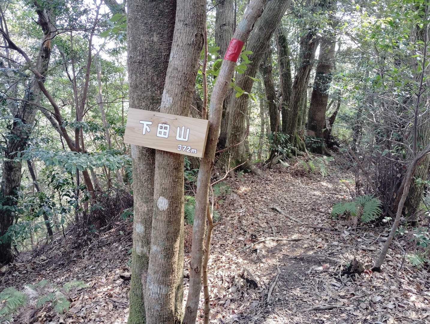 下田山