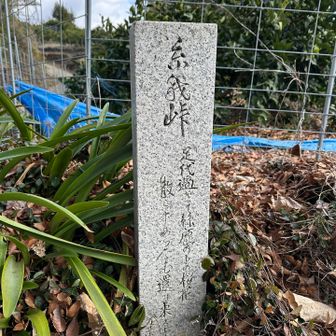 みかん山の急坂をヒーヒー歩いて
糸我峠に到着🙌