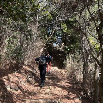 菊水山の登り…しんどいです😓

序列の方は変わらずわたくすが…げべ。

ぶち抜いてトップでお偉いさんの序列を頂きたかったのですが…あんよが全く前に出ませんでした(-｡-;✨