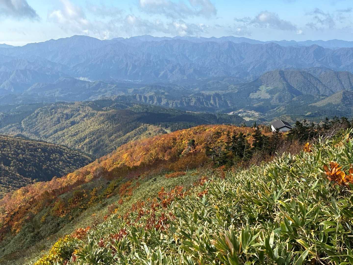 もうね、絶景です🥰でも私の写真じゃ伝わらないの悲しみー🥲