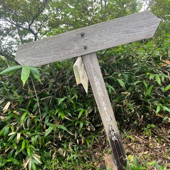 立て看板はやや文字が見づらくなっています。