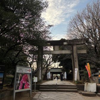 牡丹祭りやってました（有料）