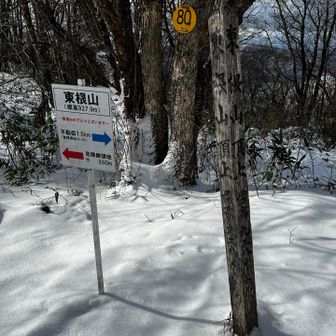東根山の山頂