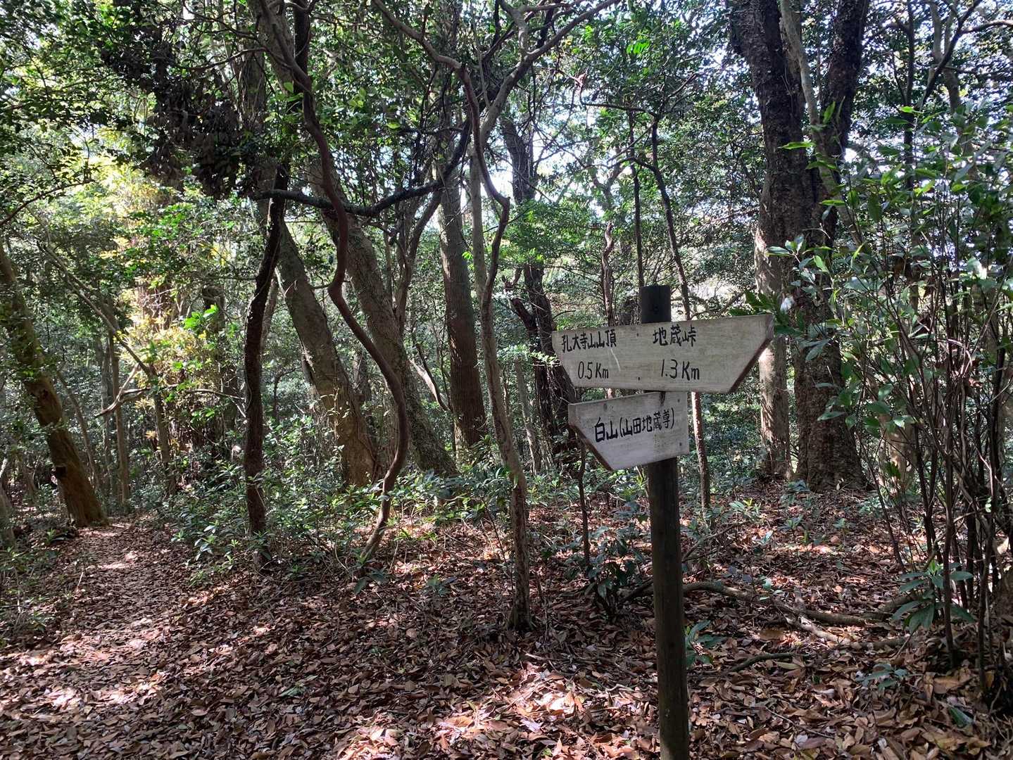 そして、登り返して縦走路に出ました😃