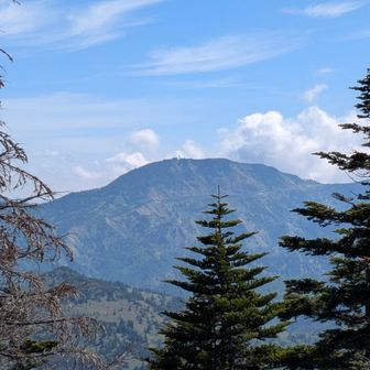 東側はいまいち、横手山と