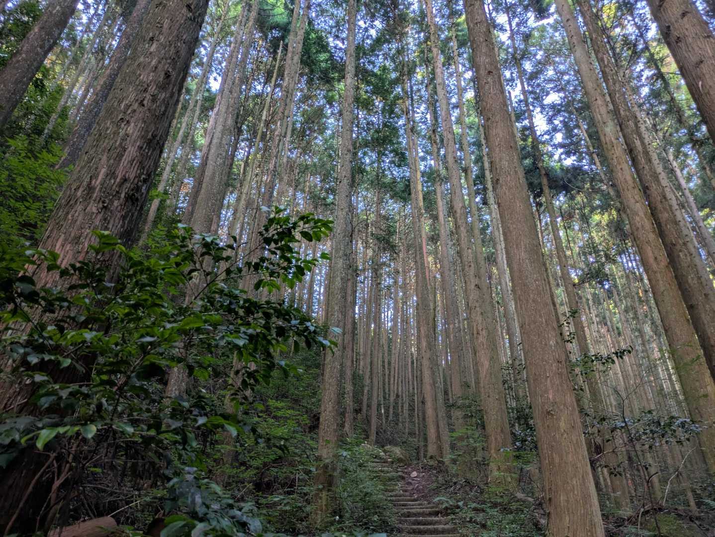 本当に良い雰囲気✨