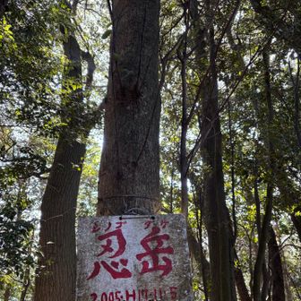 忍岳🏳️‍🌈582m