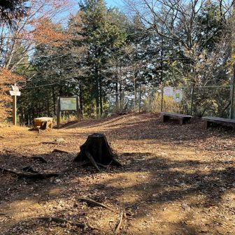 山頂の眺望はありませんでした