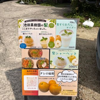 ラインナップ