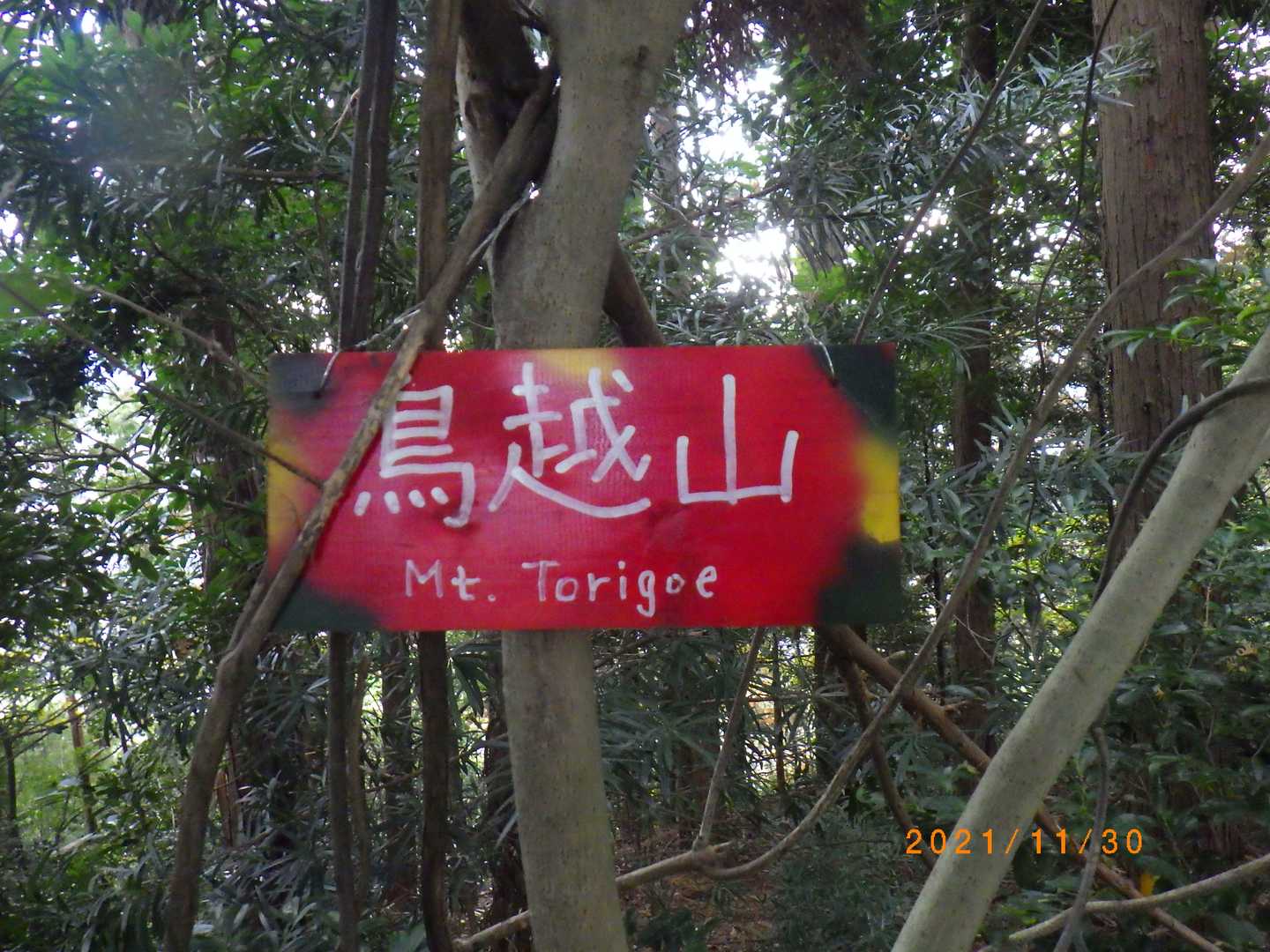 🔺鳥越山にも立ち寄る。