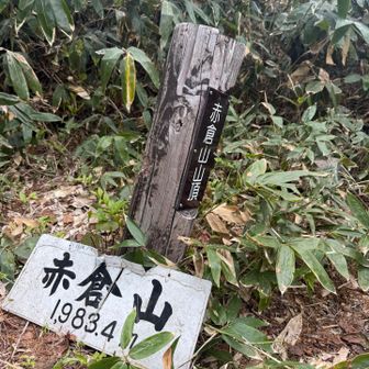 キツすぎて黙々と頑張るのみだったので途中写真を撮る余裕なし😅
