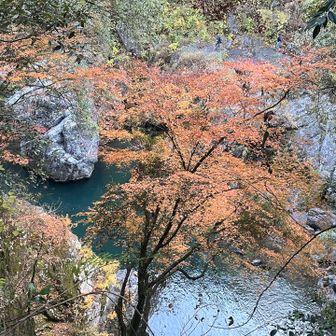 さあ、いよいよ歩く。