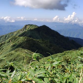 下山開始、再び鎌ヶ峰を越えなければ💦
でも、鎌ヶ峰のこの角度、凛々しい😻