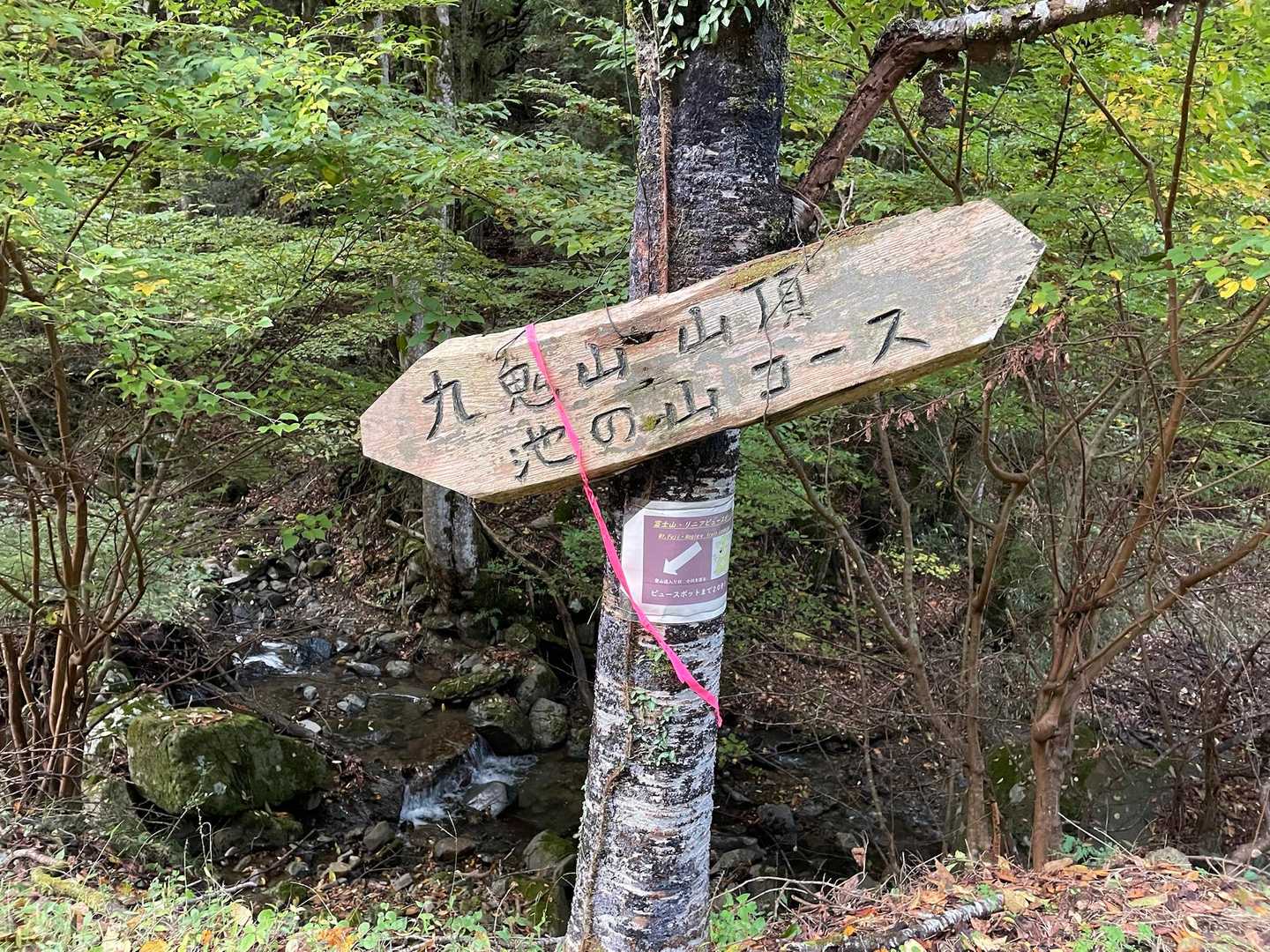 池ノ山コースで❗️