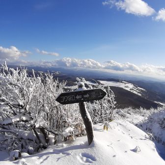 帰りは当然コワ坂コース周回で😅というか一本杉コースで下山したことがないんです😅