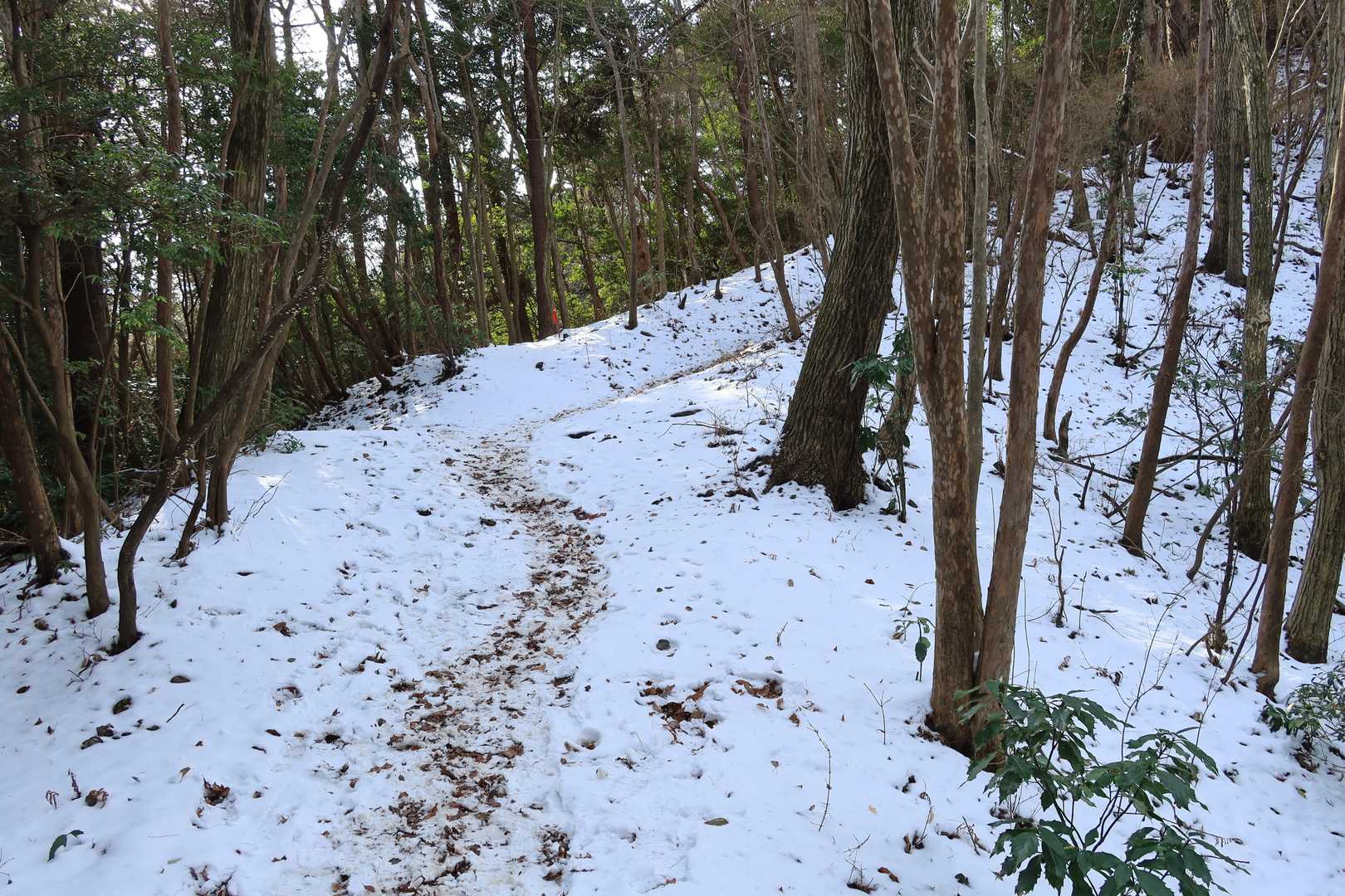 御岩山-高鈴山 往復コースの写真
