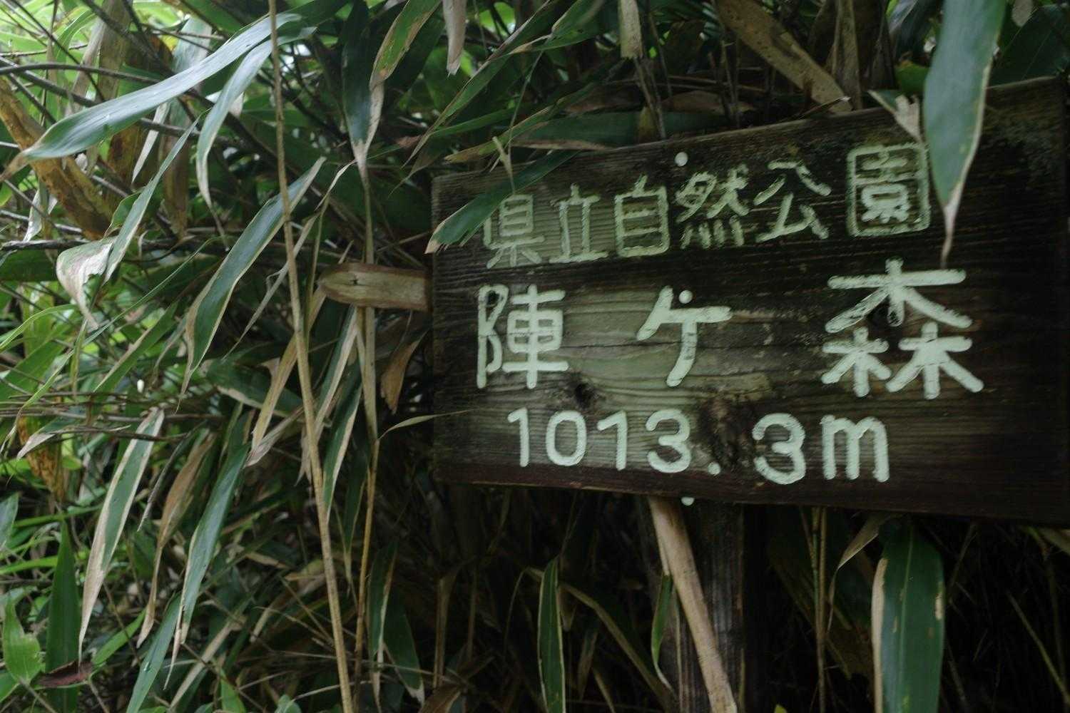 陣ヶ森 往復コースの写真