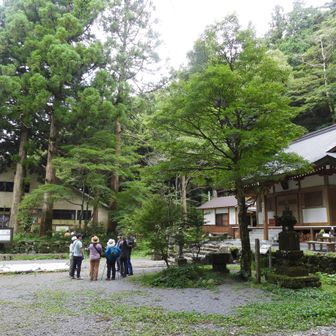 金泉寺