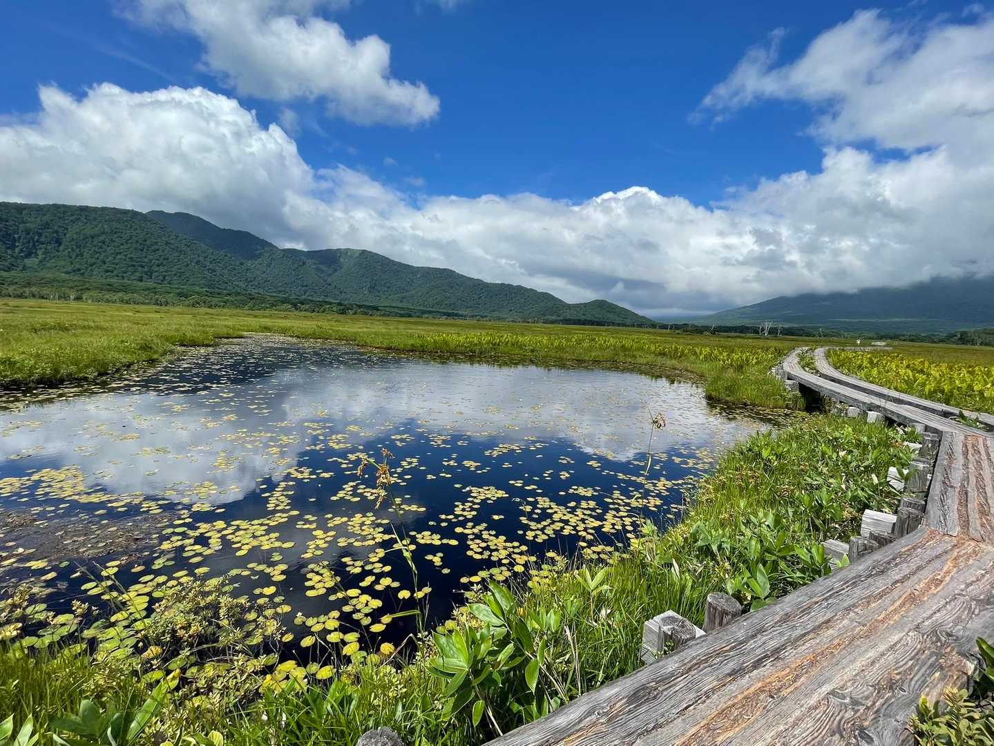 池塘に映る空が綺麗ったらありゃしない