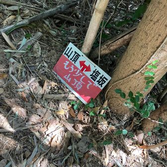 山頂は、もう少しです。