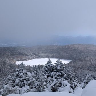 さっきまでいた白駒池