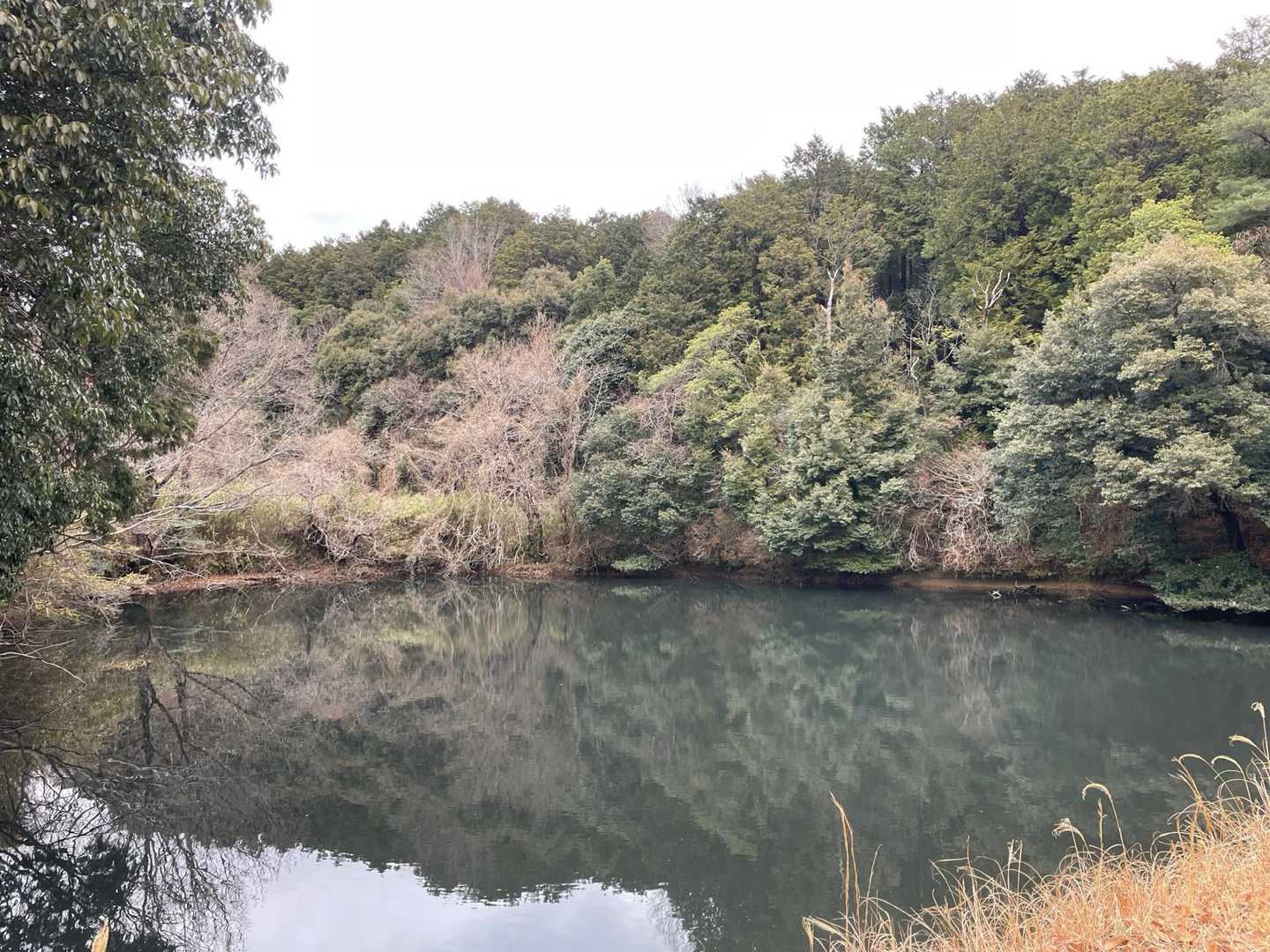 鉢伏山 往復コースの写真
