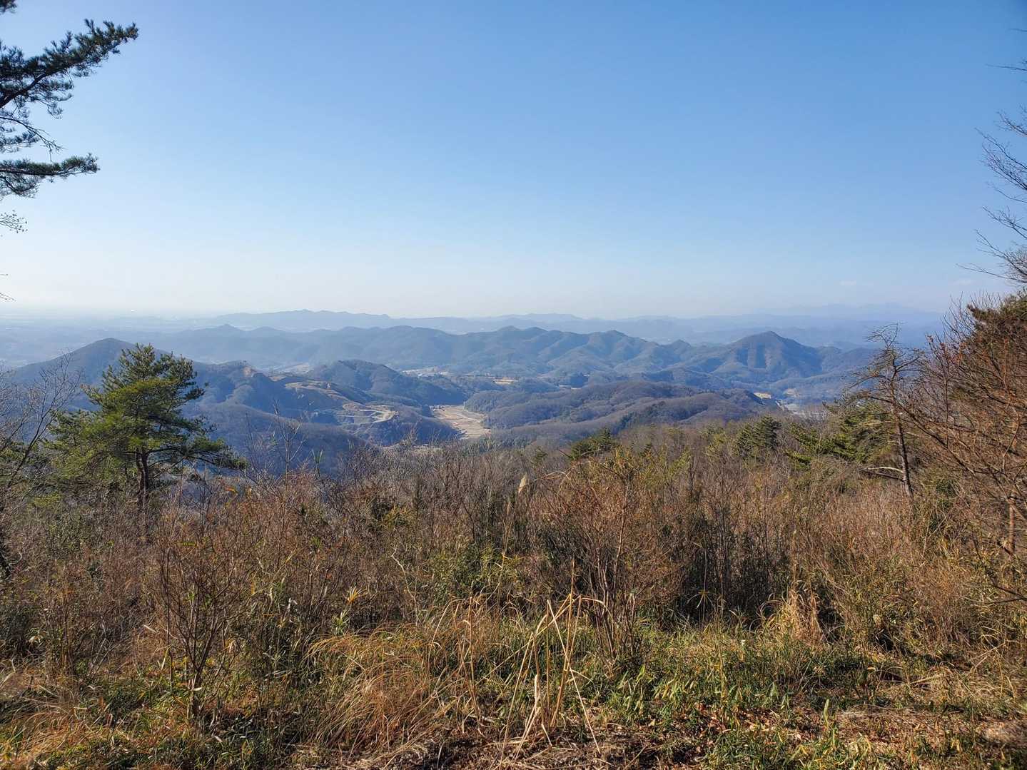 @青入山