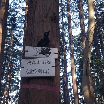 かぁーかぁー♪
リアルにカラスが鳴いてました😅