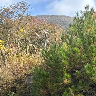 韓国岳山頂は薄曇り