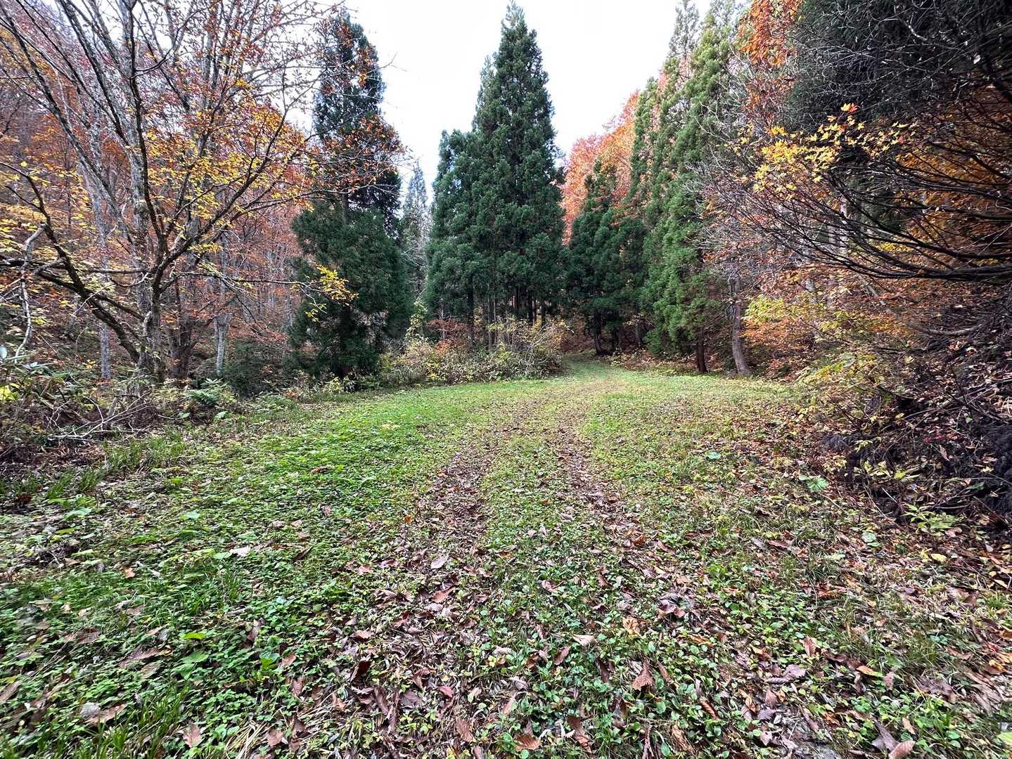 本来の登山口直前にある駐車場に到着です