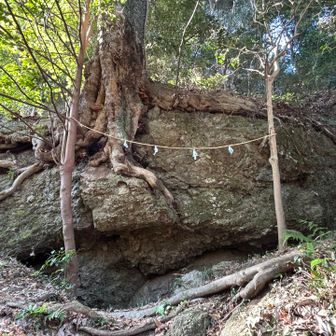 洞窟ありと地図にあったので、ここ？と思ったら…