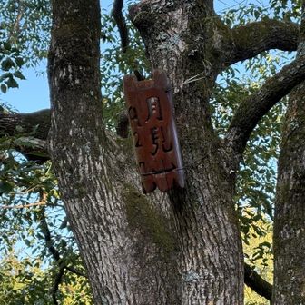 月見山に到着！