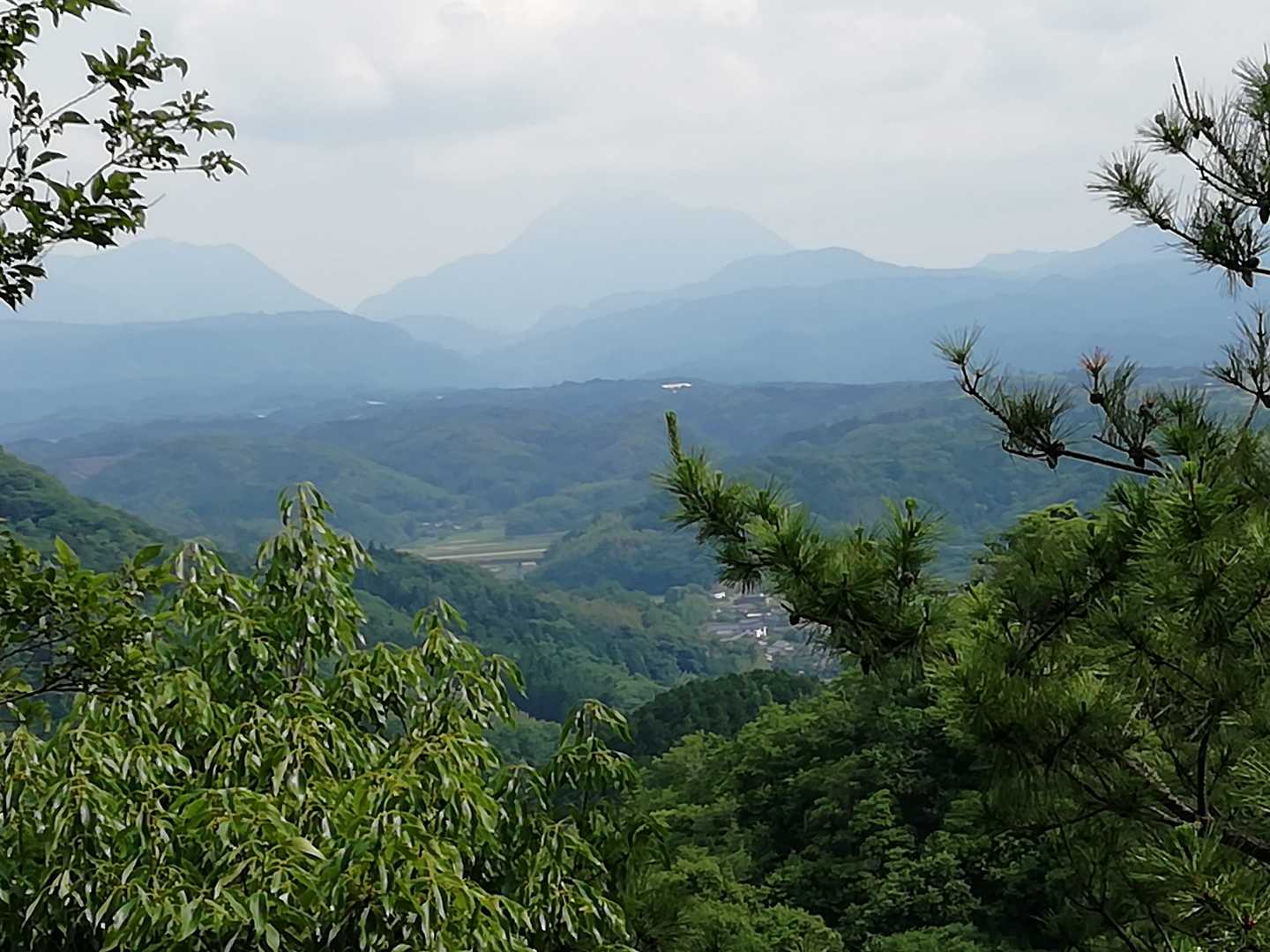 由布岳は、ちょっと霞んでいます。