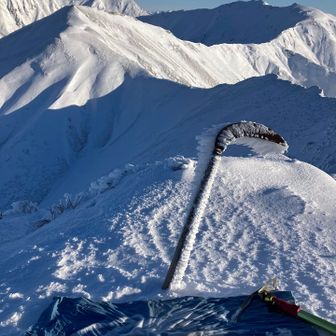 鎌に張り付くエビの尻尾
母が私の名前を書いてくれて
自分が山の絵を描いたマナイタグラの手ぬぐい
ようやくここに！