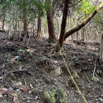 いきなりの急登