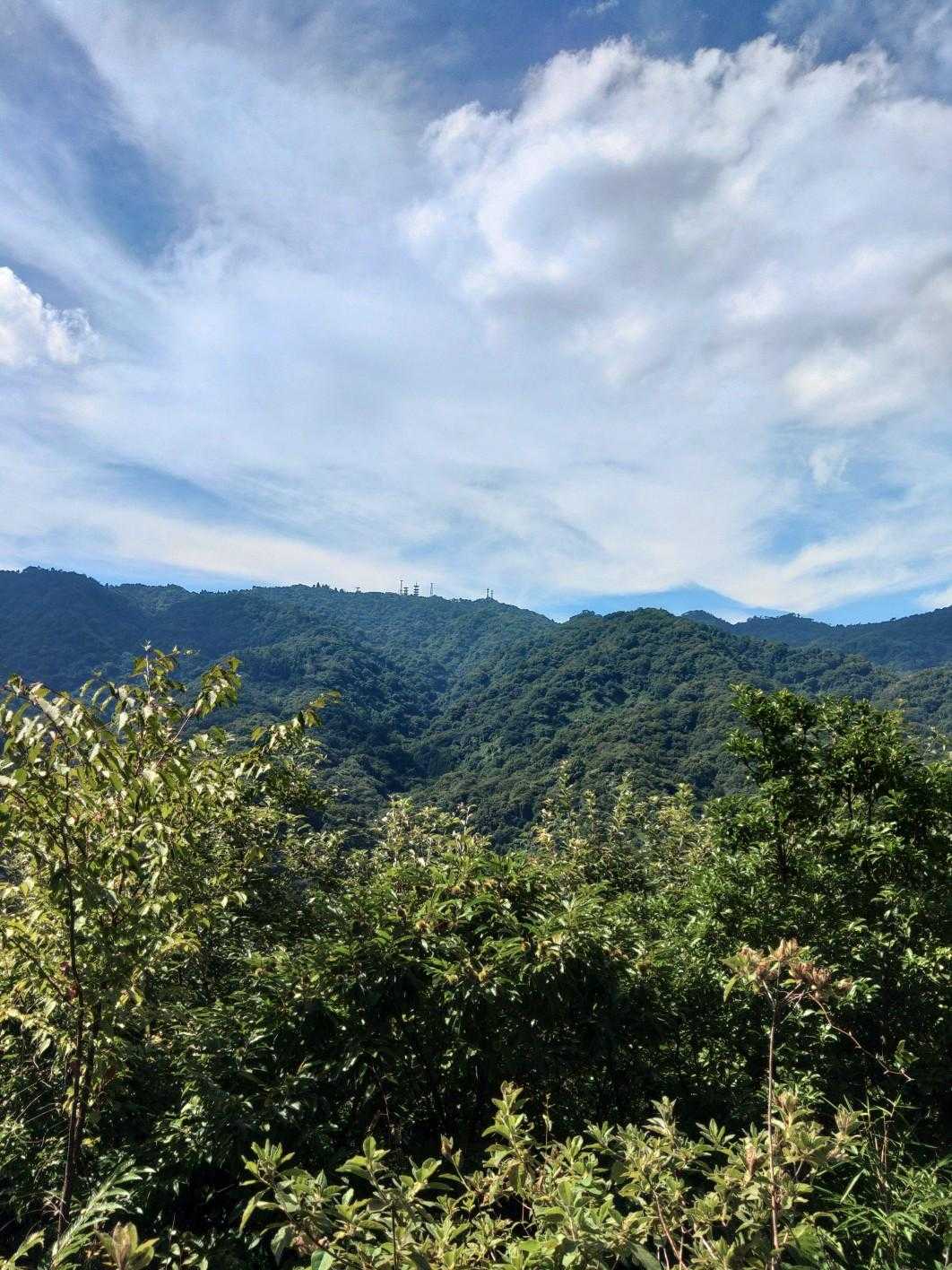 エクセル東バス停-石切道登山口-五助山登り口 往復コースの写真