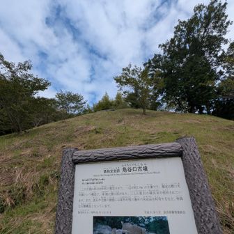 鳥谷口古墳を登ったらルート2本ありますが行きませんよ🫡🤗