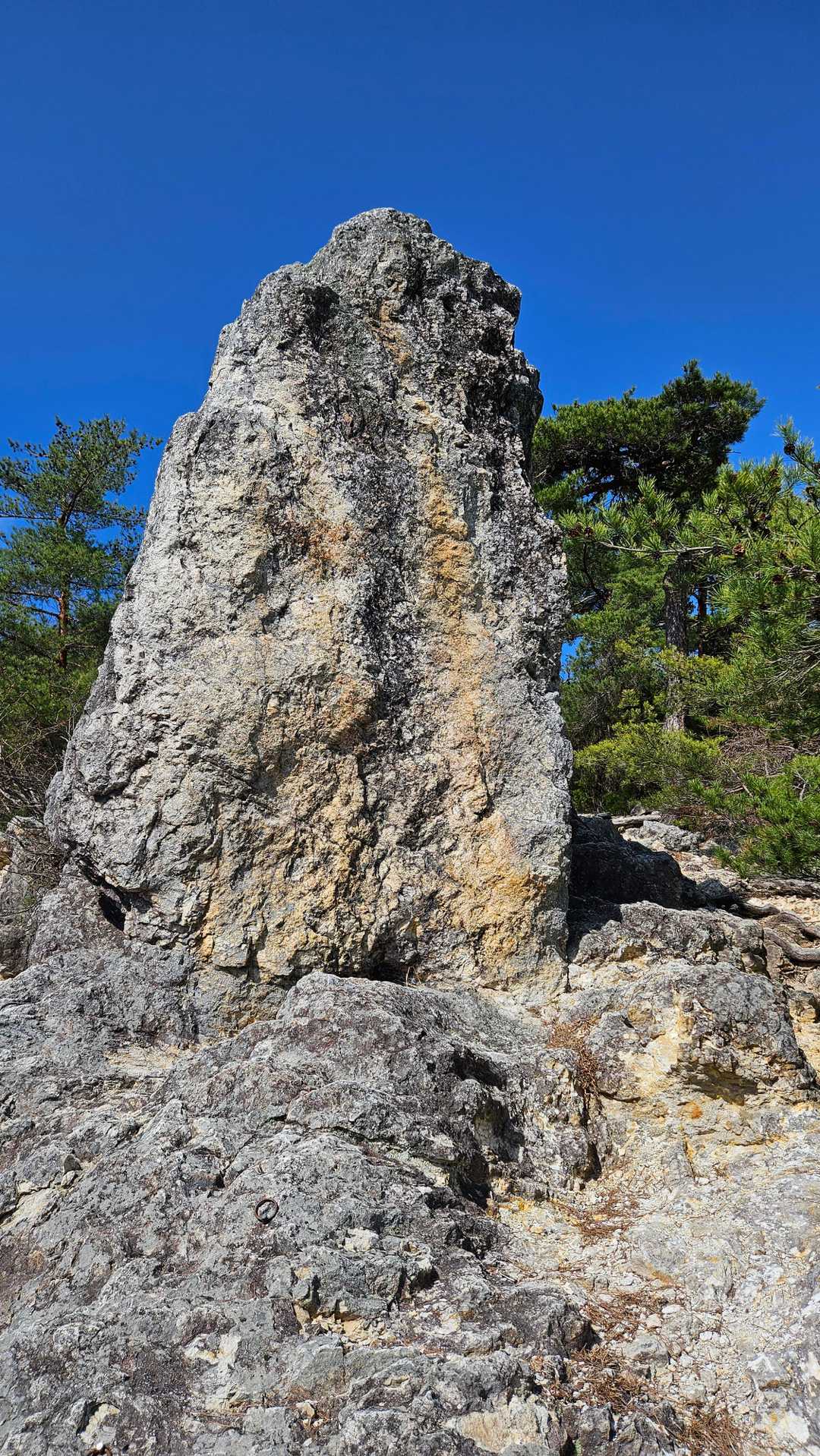 金毘羅神社-地附山-大峰山 周回コースの写真