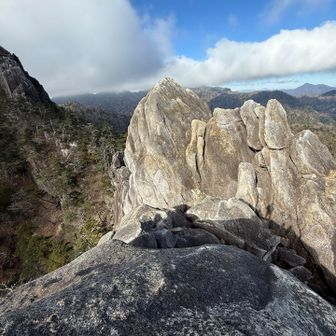 岩岩がホントにすごい
