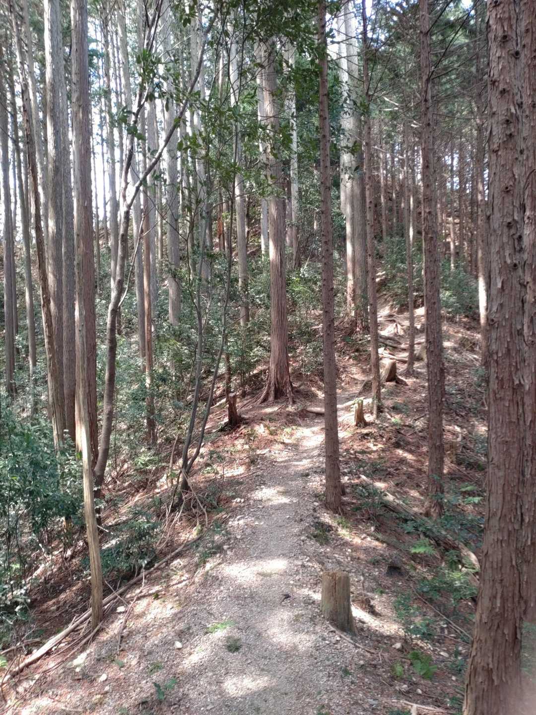 何時もの感じ…