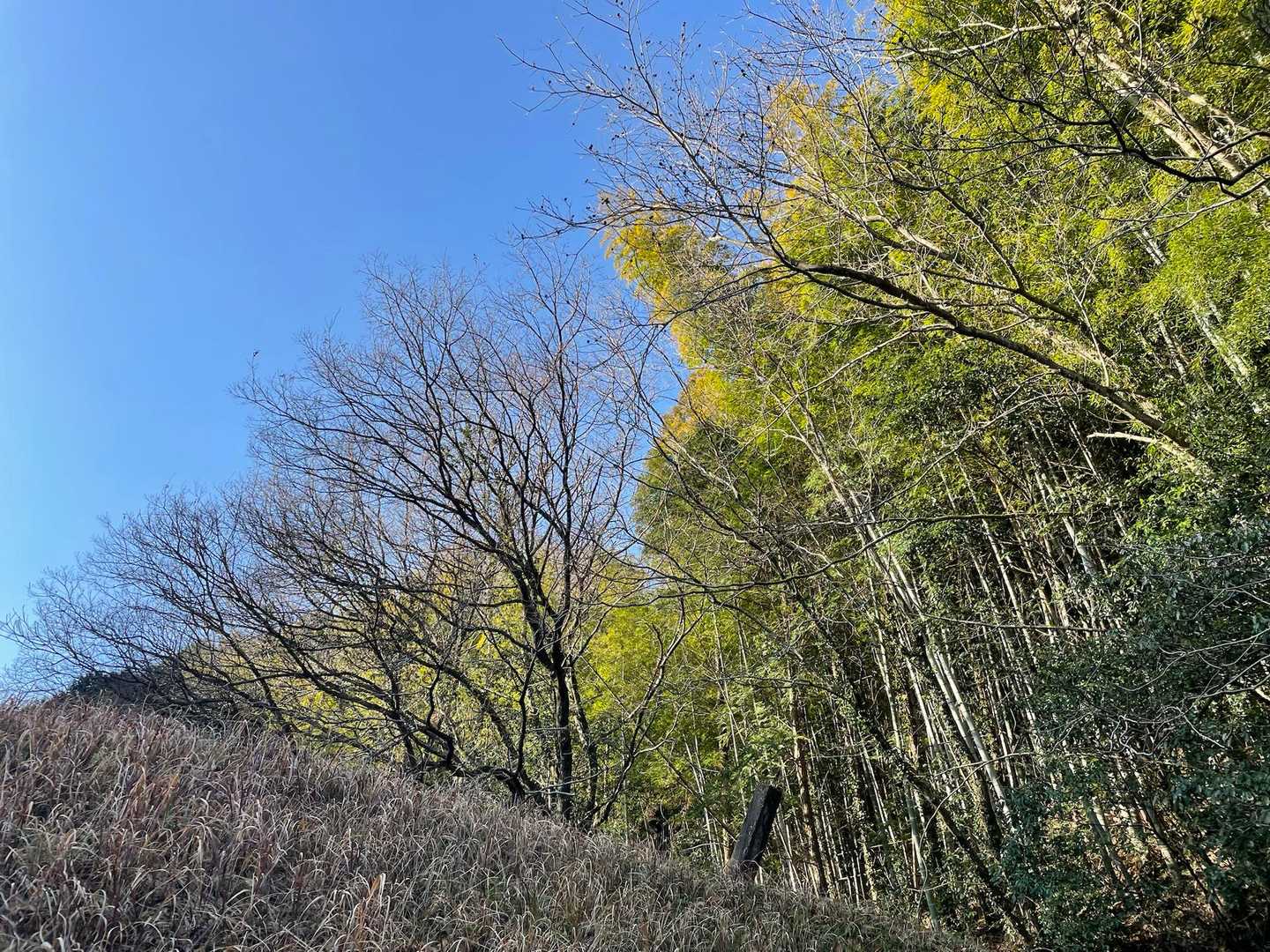 なかなか山登りの時間がとれず久しぶりになってしまった😆