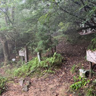 塚地峠に着きました。横瀬山は右手の道を登ります。