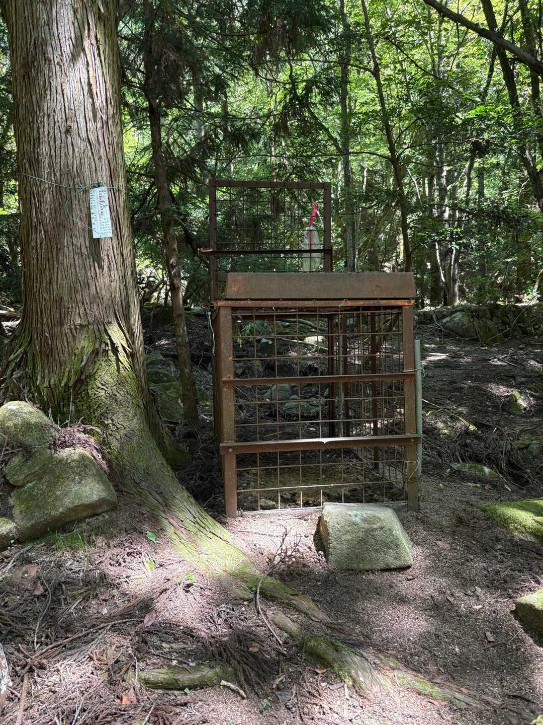 🐻に遭遇したらこの中に逃げ込めばいいね👍