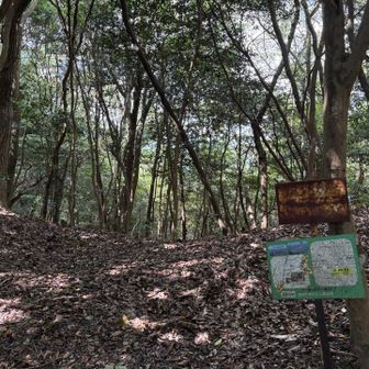 ここがいい風通る！