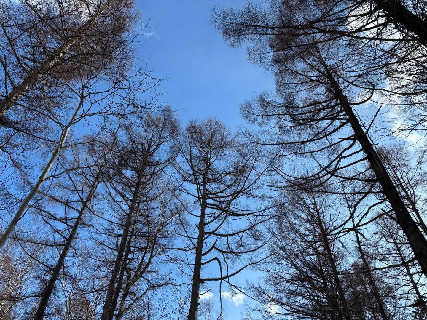 今日も青空🟦☀️
今回の正月休みはお天気に恵まれました☺️