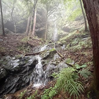 不動滝💦💦💦

霧がかっていて幻想的ですね