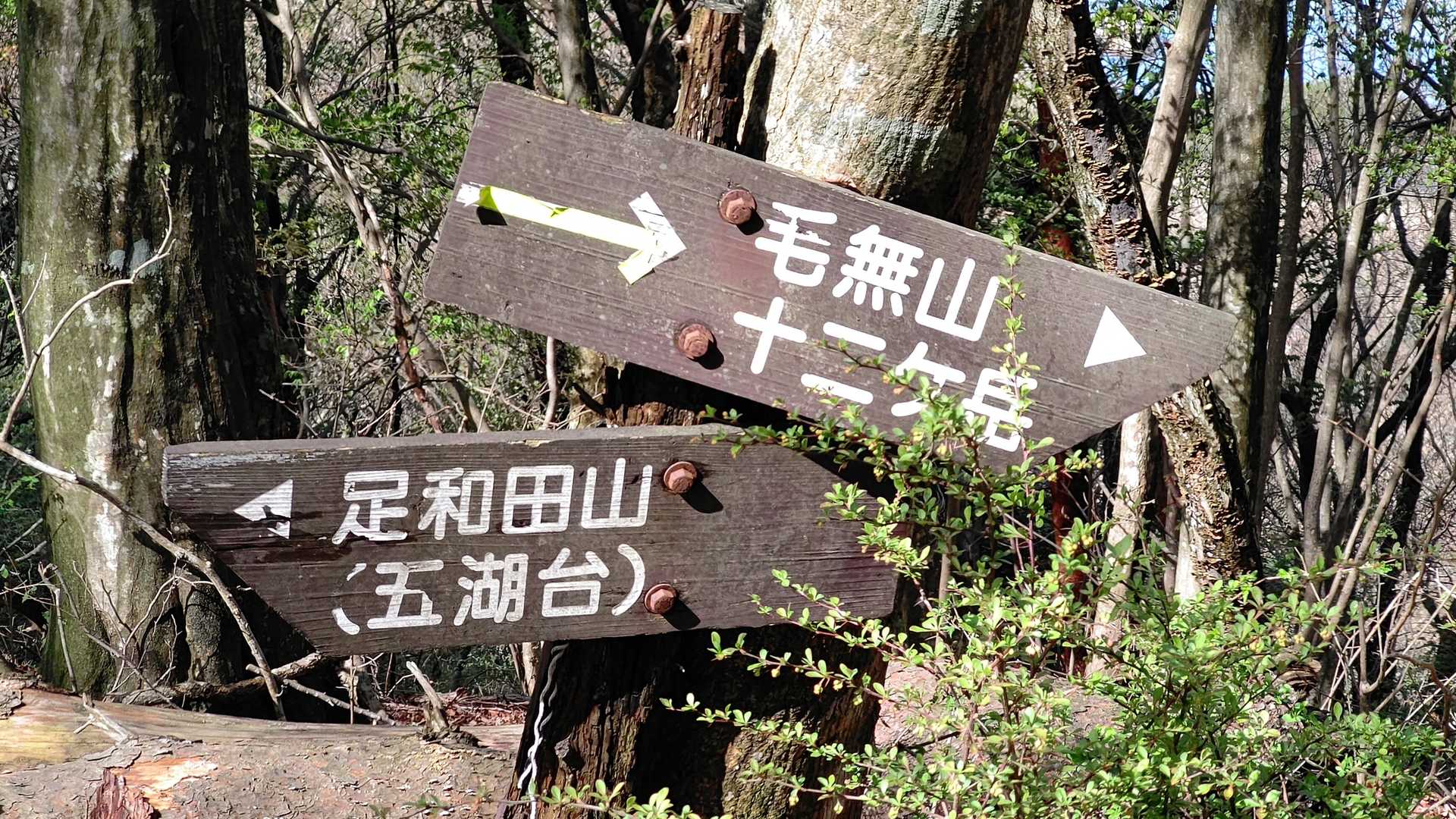 毛無山へ向けて❗️