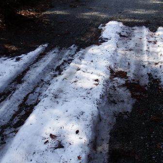 結果的に雪があったのは境内のここだけだった